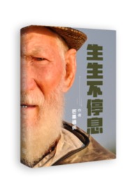 ������ͣϢ����