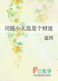 ˾��С̫���Ǹ����Է���