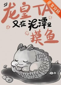 ������������̶���������