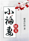 娇宠小福妻封面