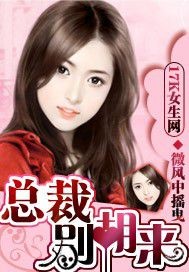 总裁，别胡来封面