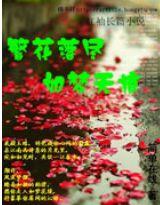 価 ޺۷