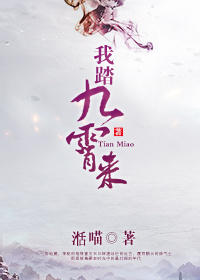我踏九霄来封面