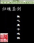 归魂圣剑封面