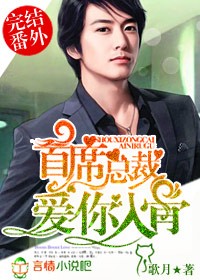 首席总裁，爱你入骨封面