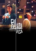 支教别恋封面