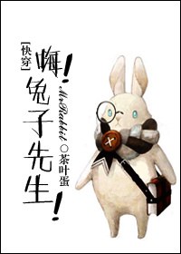 嗨！兔子先生[快穿]封面