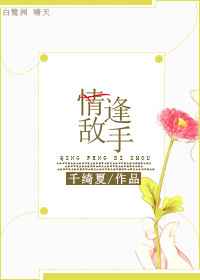 情逢敌手封面