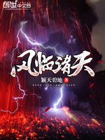 风临诸天封面