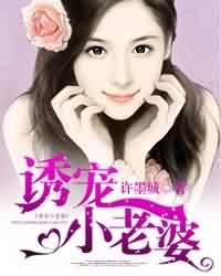 诱宠小老婆封面