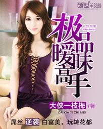 极品暧昧高手封面