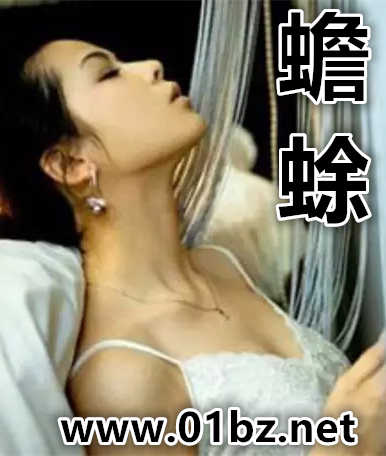 蟾蜍封面