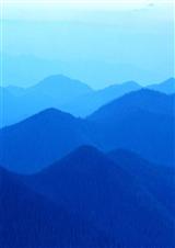 城北青蛙封面