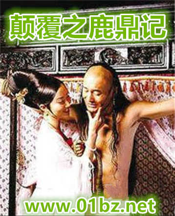 颠覆之鹿鼎记封面