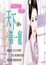 天下第一宠封面