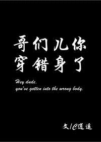 哥们儿你穿错身了封面