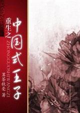 重生之中国式王子封面