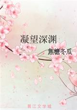凝望深渊(网络版)封面