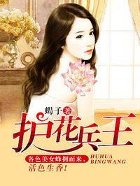 护花兵王封面