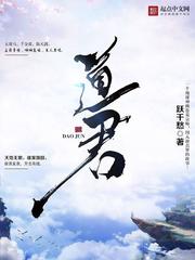 道君封面