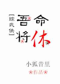 [综武侠]吾命将休封面
