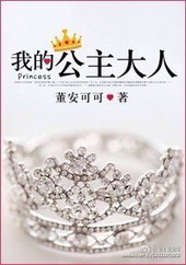 我的公主大人封面
